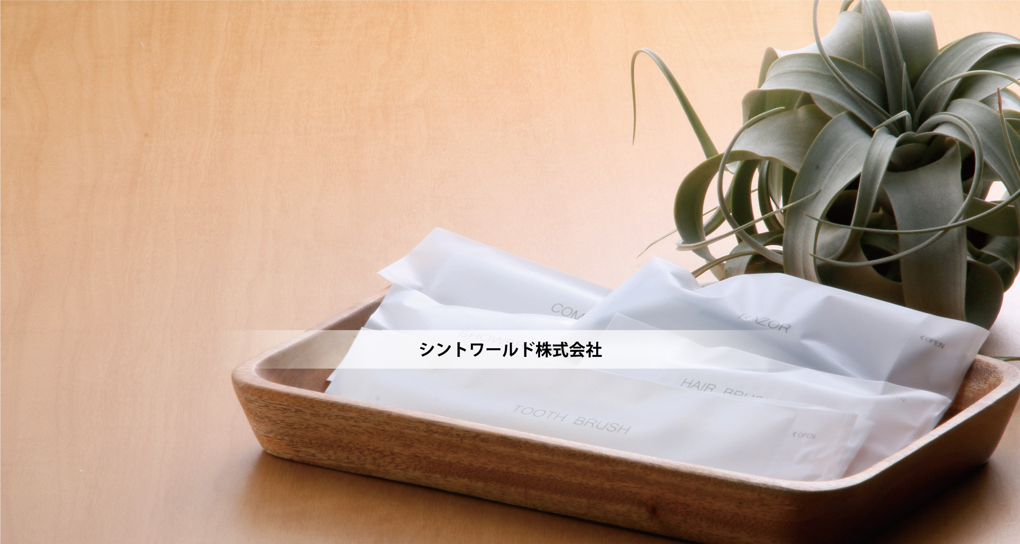 シントワールド株式会社 熊本の企業をリードする リーディングスター シントワールド株式会社 熊本の企業をリードする リーディングスター