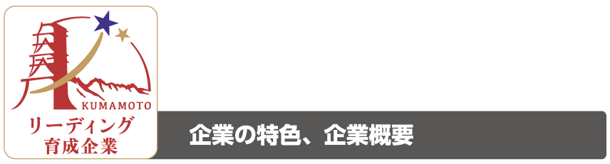 シントワールド株式会社 熊本の企業をリードする リーディングスター